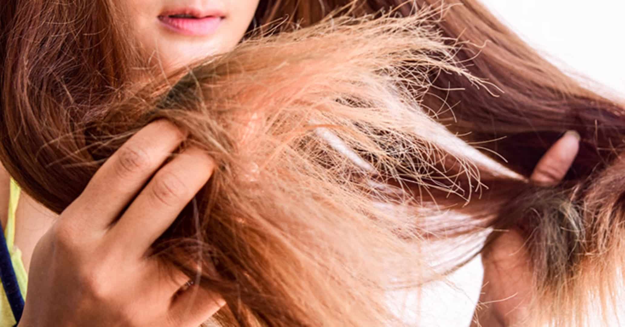 rotina de cuidados para evitar pontas duplas em cabelos secos