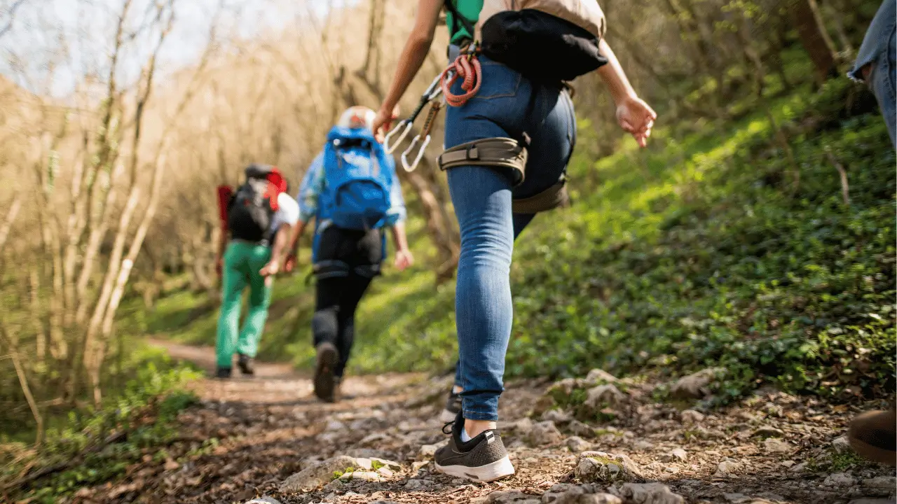 Trilhas no Sul do Brasil: Explorando Cânions e Serras