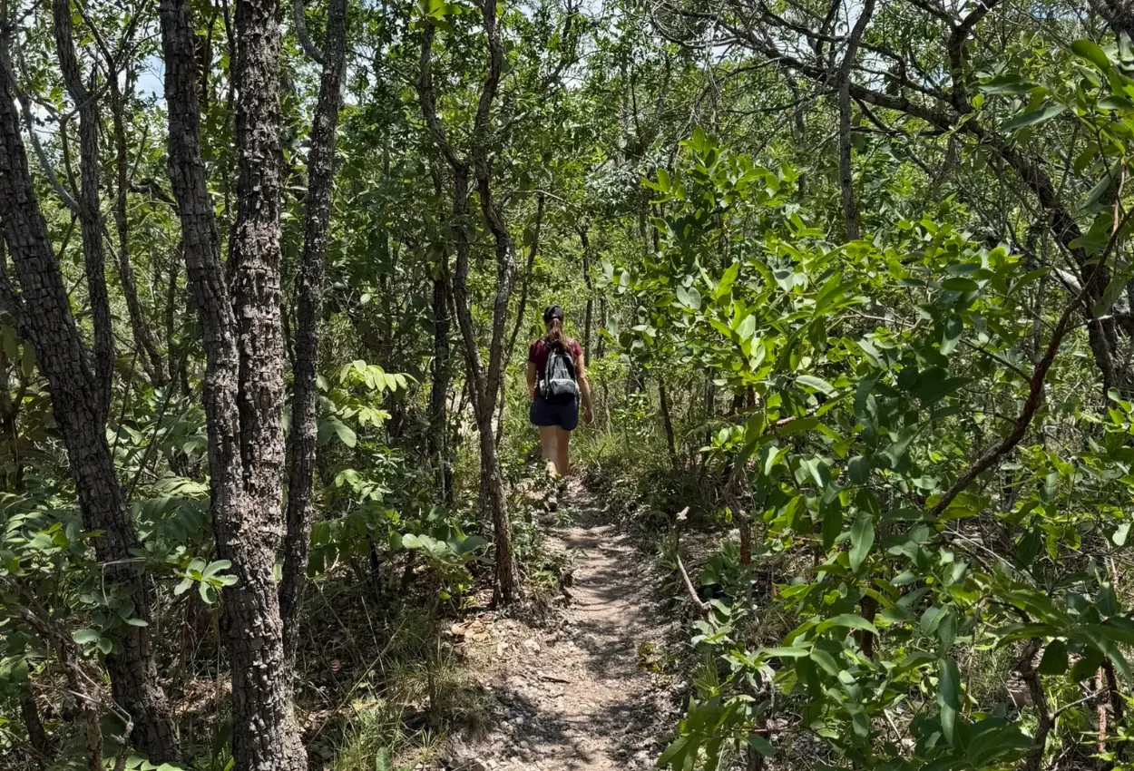 Trilhas no Sul do Brasil: Explorando Cânions e Serras