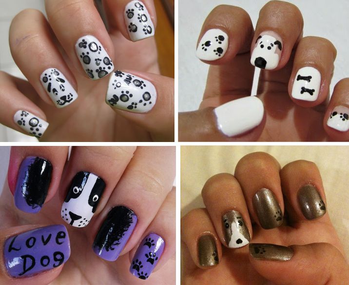 Guia Completo de Ferramentas para Nail Art Pet