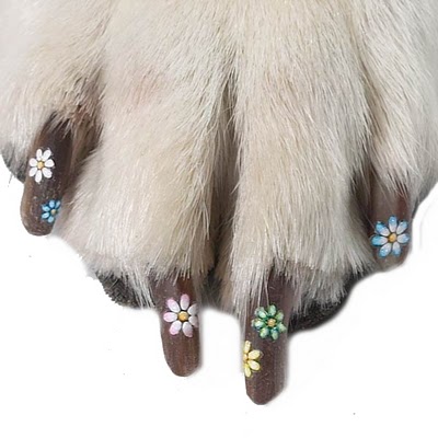Adesivos ou Carimbos: Qual a Melhor Opção para Unhas de Cachorro?