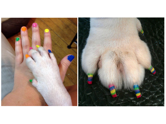 unha decorada cachorros