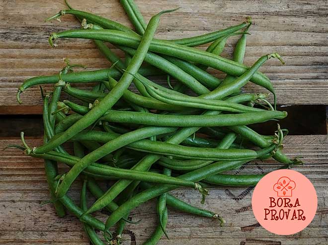 vagem francesa benefícios nutricionais