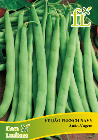 vagem francesa benefícios nutricionais