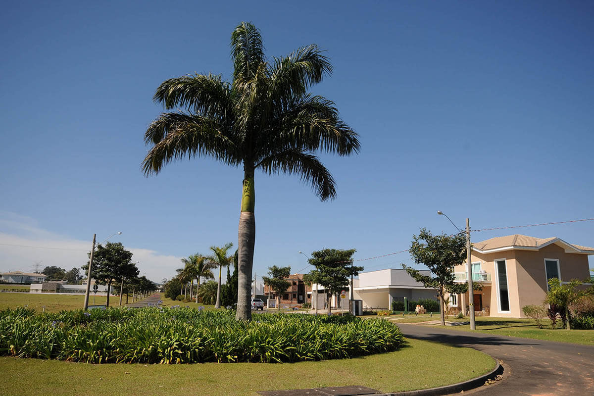 Como gerenciar uma casa de campo à distância de forma eficiente