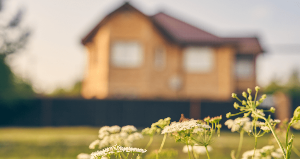 vale a pena comprar uma casa de campo
