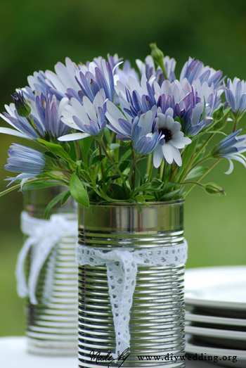 Melhores Suculentas para Vasos Pequenos e Rasos