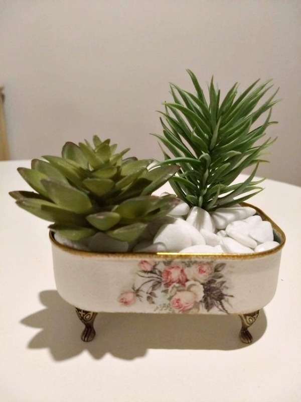 Como Fazer Mini Jardins Sustentáveis em Casa