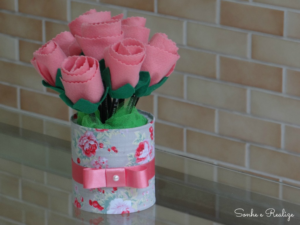 Melhores Suculentas para Vasos Pequenos e Rasos