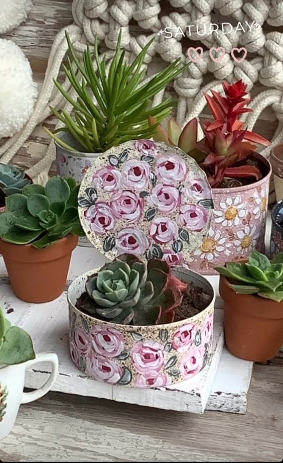 Guia Completo de Drenagem para Vasos de Plantas