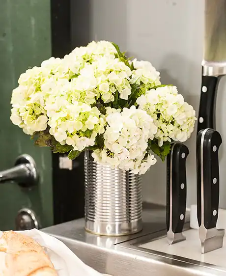 Como Fazer Mini Jardins Sustentáveis em Casa