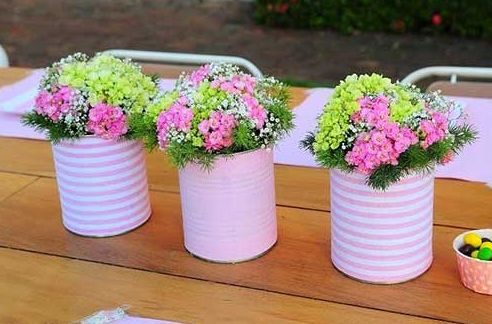 Melhores Suculentas para Vasos Pequenos e Rasos