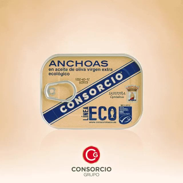 Guia Completo de Drenagem para Vasos de Plantas