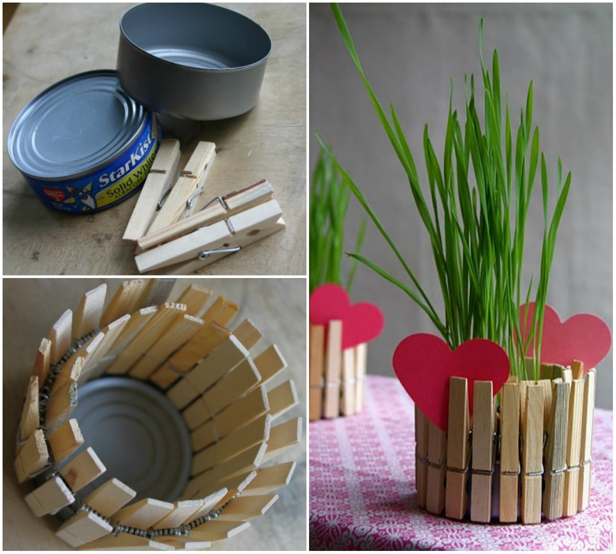 Como Fazer Mini Jardins Sustentáveis em Casa