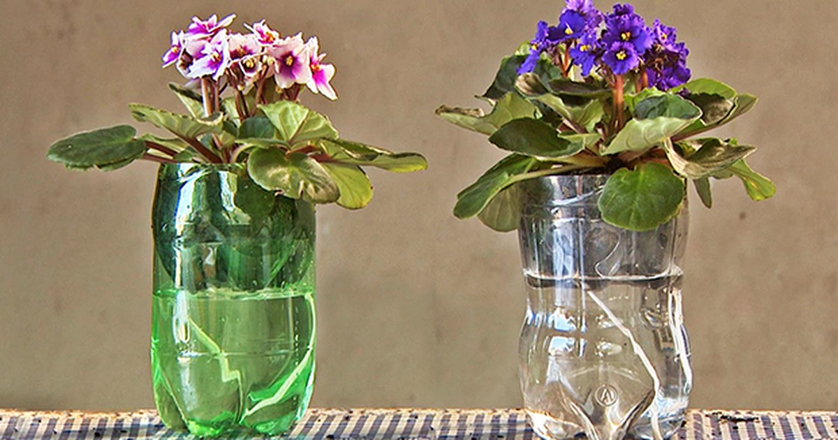 Decoração Sustentável: 10 Ideias Criativas com Garrafas PET e Barbante