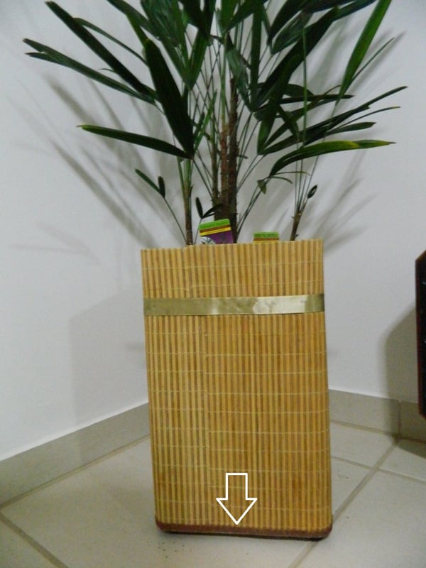 vaso de plantas com lata de tinta