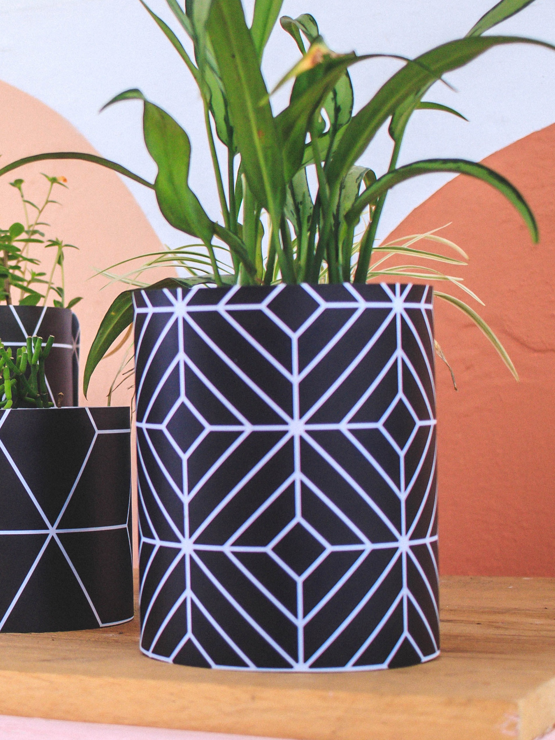 Inspirações de Decoração: 10 Estilos Únicos para Vasos de Lata