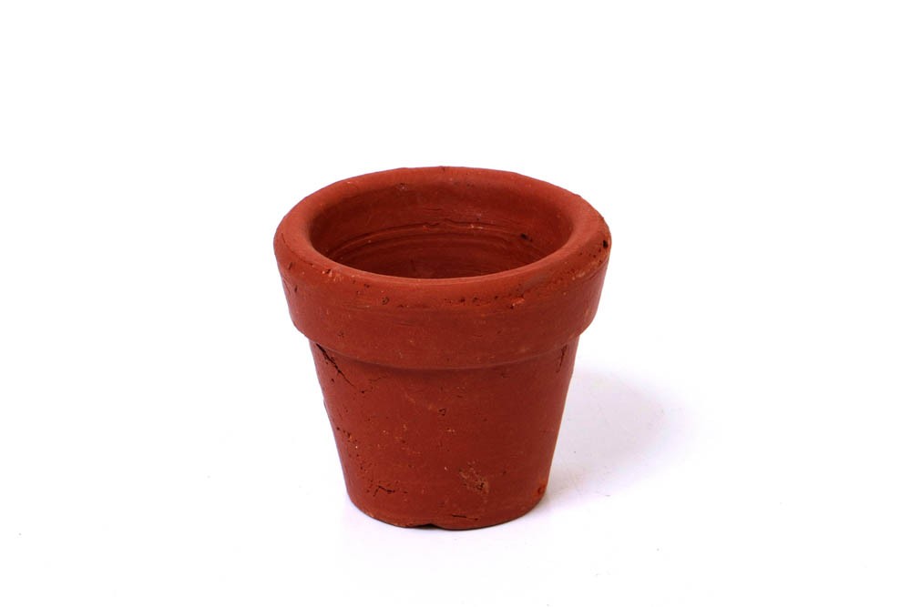 vasos de vidro para plantas pequenas