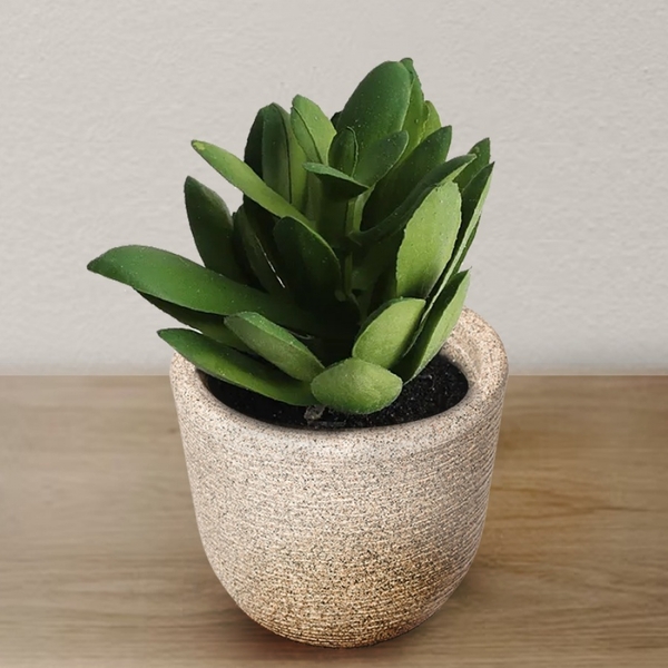 kits de mini vasos para lembrancinhas