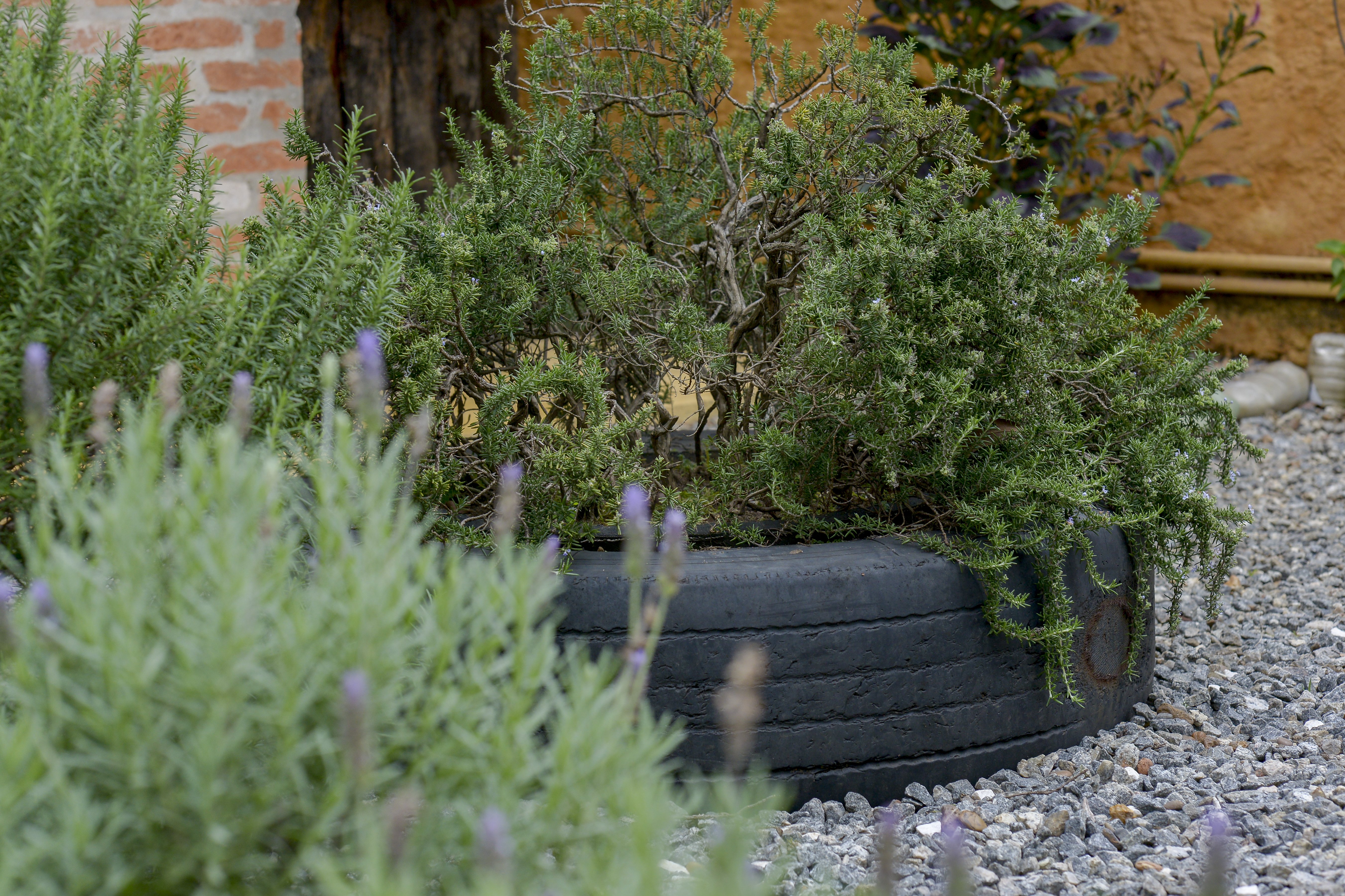 vasos com pneu velho passo a passo