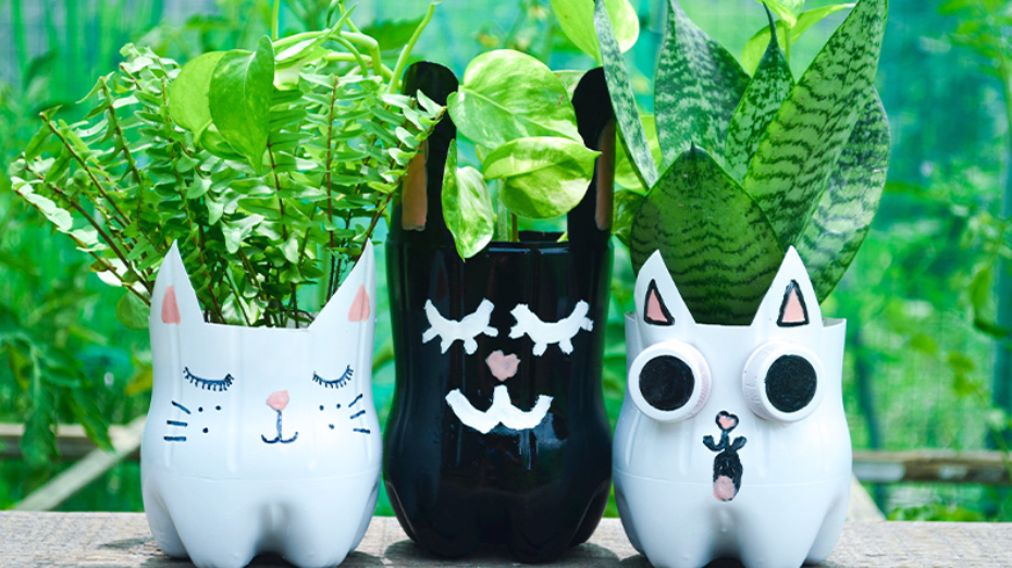 vasos decorativos criativos