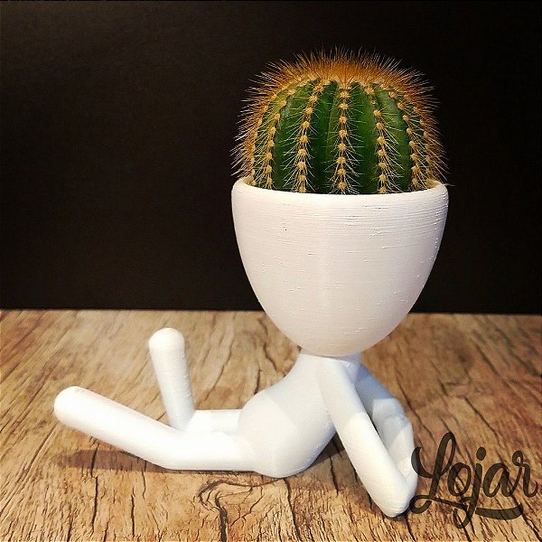 ideias de vasos para decoração