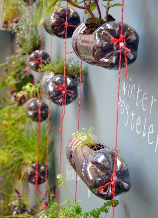 horta vertical com garrafa pet