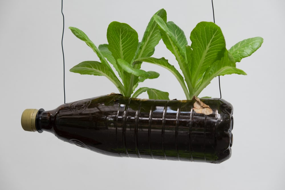 vasos criativos com garrafa pet