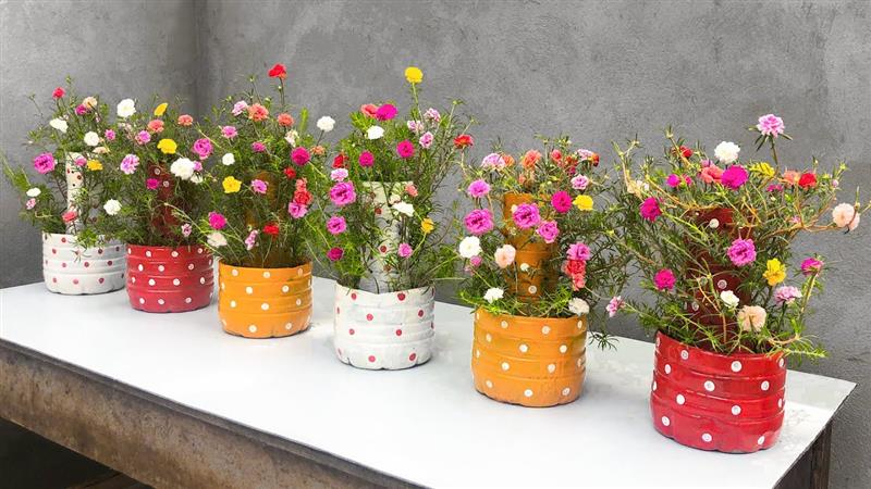 horta vertical com garrafa pet