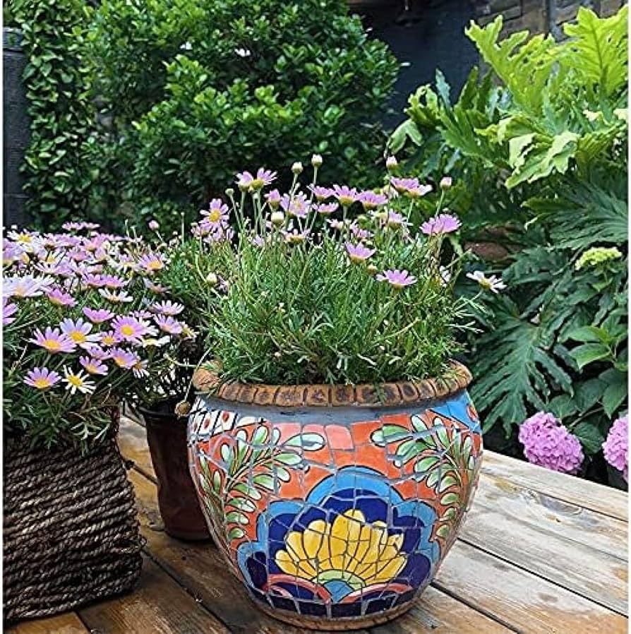 vasos de plantas para interior