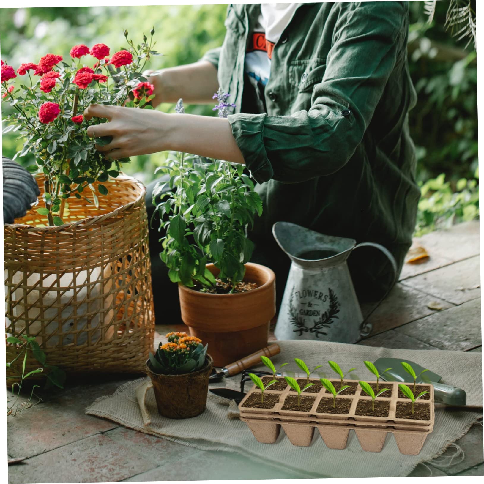 cuidados com vasos de cimento