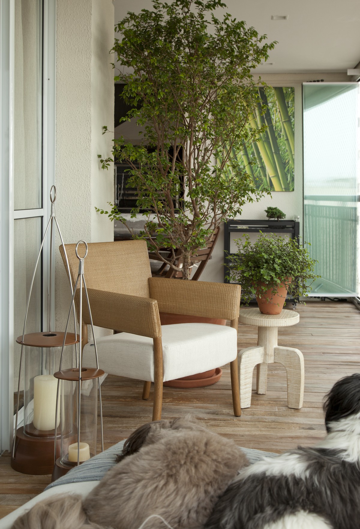 melhor vaso para plantas de interior