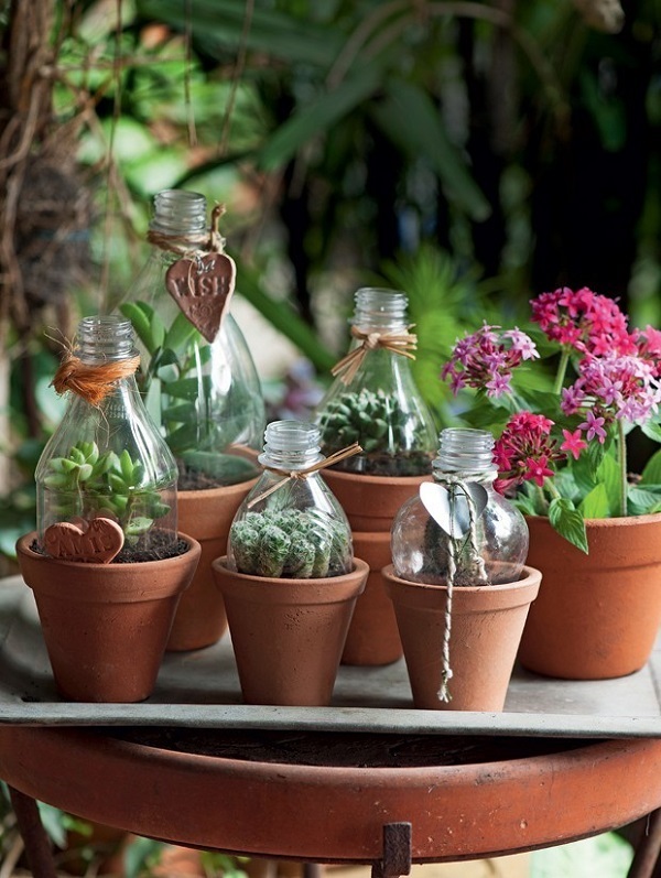 melhores vasos para suculentas em barro