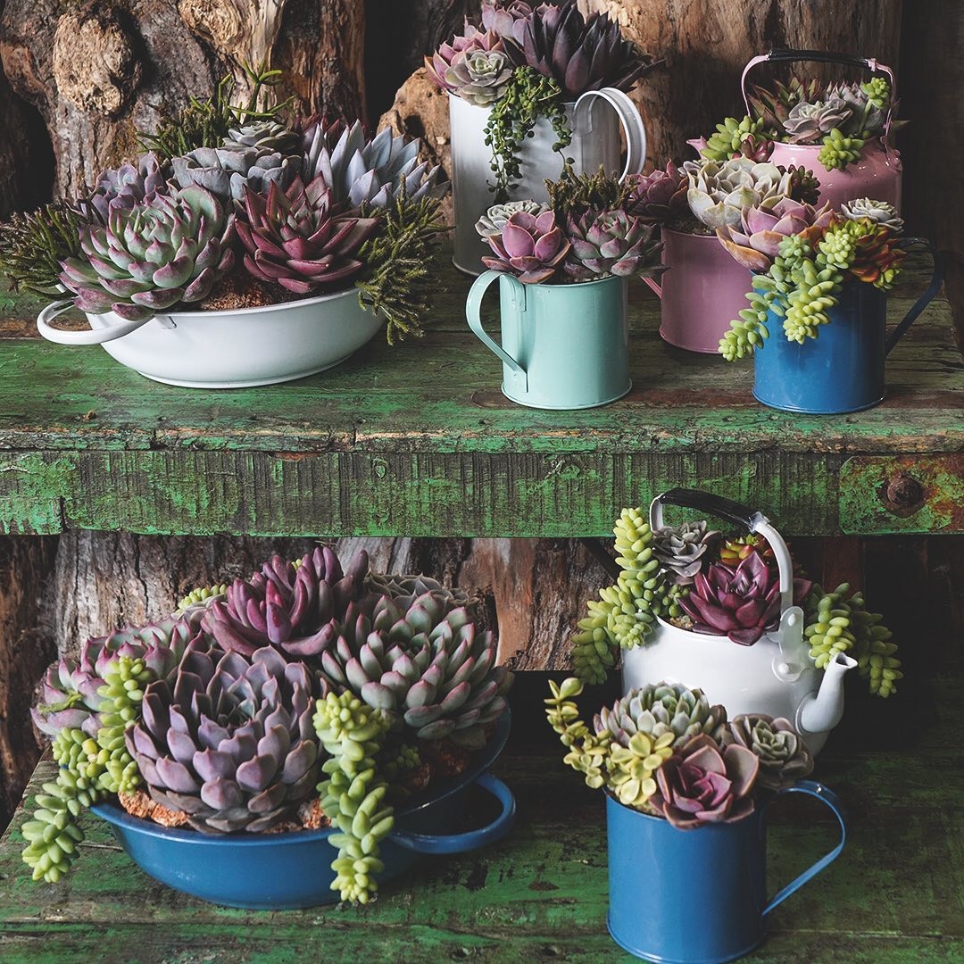 vasos personalizados impressão 3D para suculentas