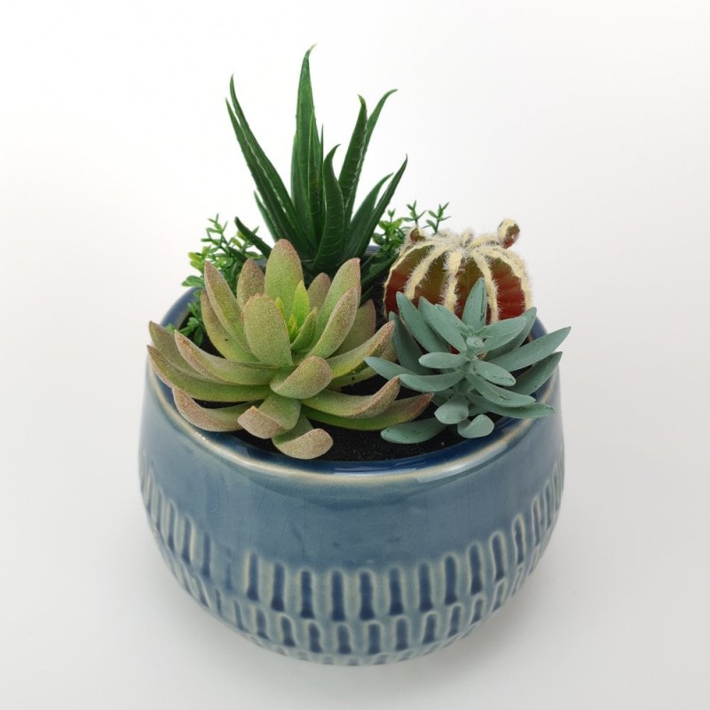 melhores vasos para suculentas em barro