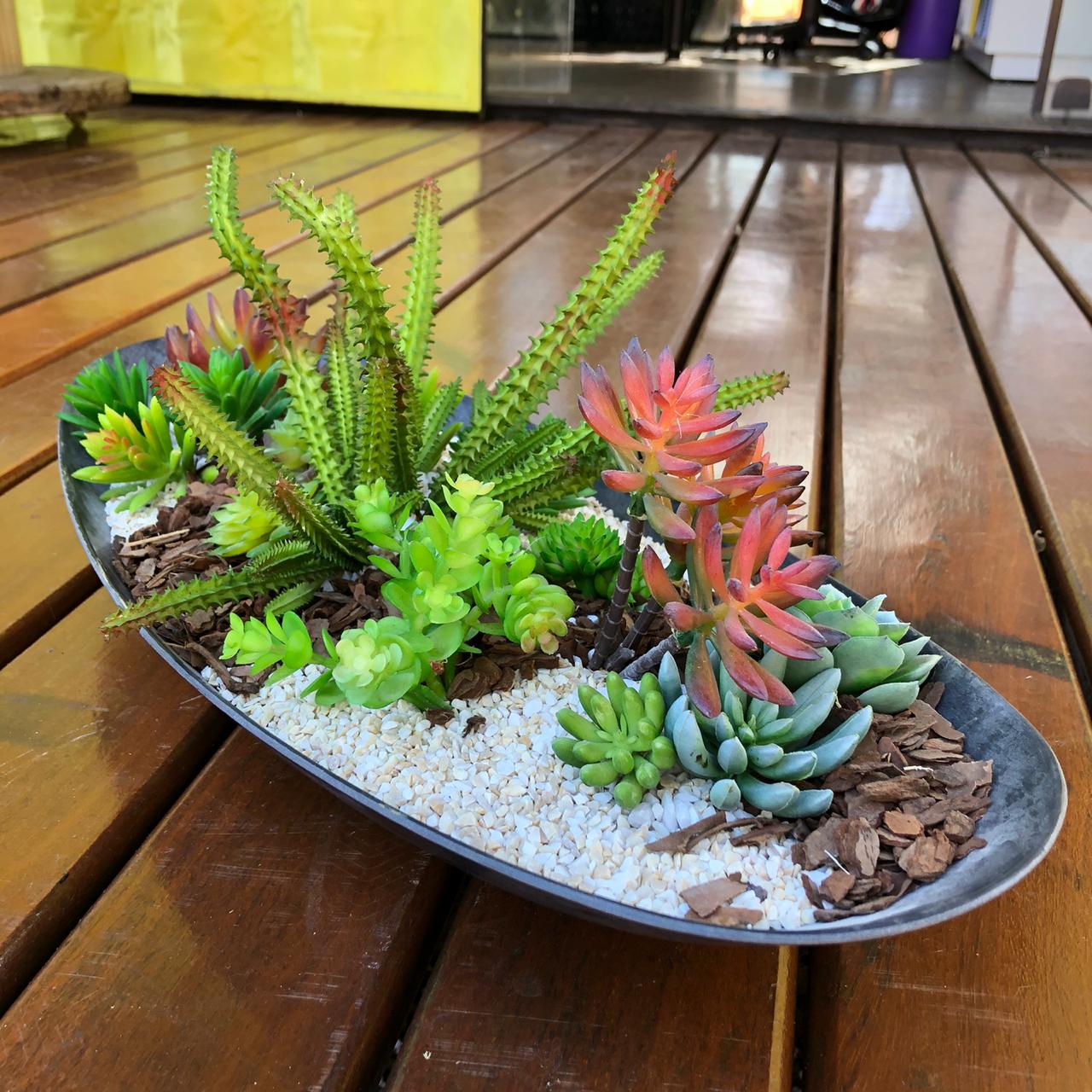 vasos de plástico para suculentas duráveis