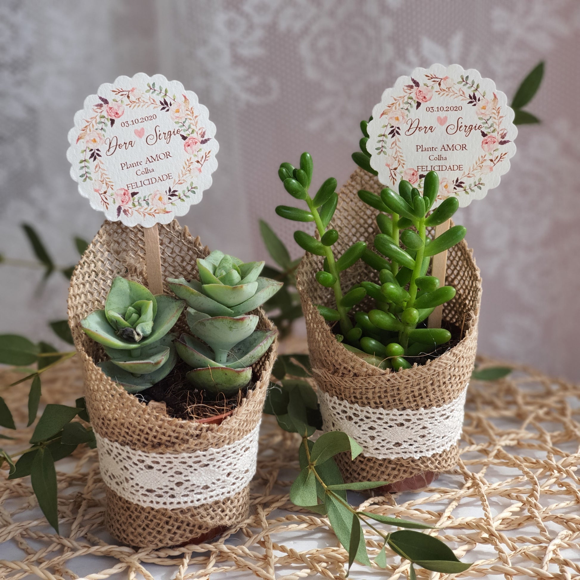 vasos de plástico para suculentas duráveis