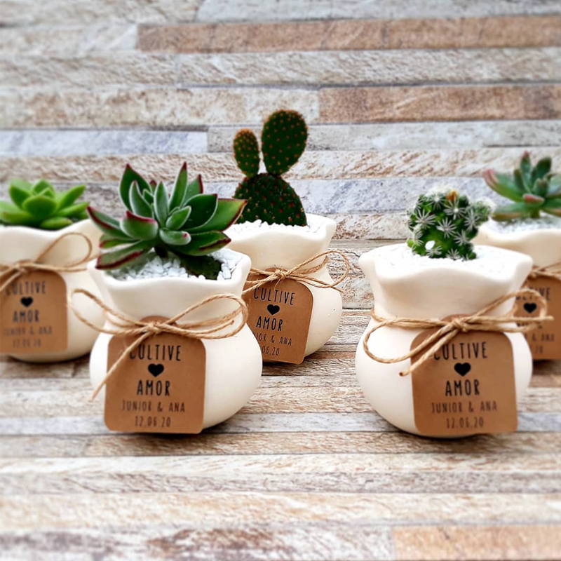 vasos de plástico para suculentas duráveis