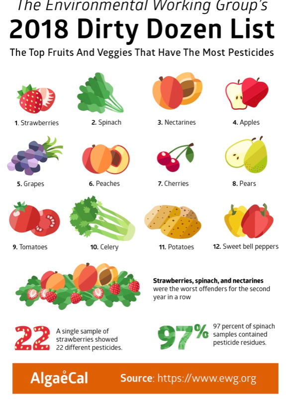 verduras orgânicas valem a pena