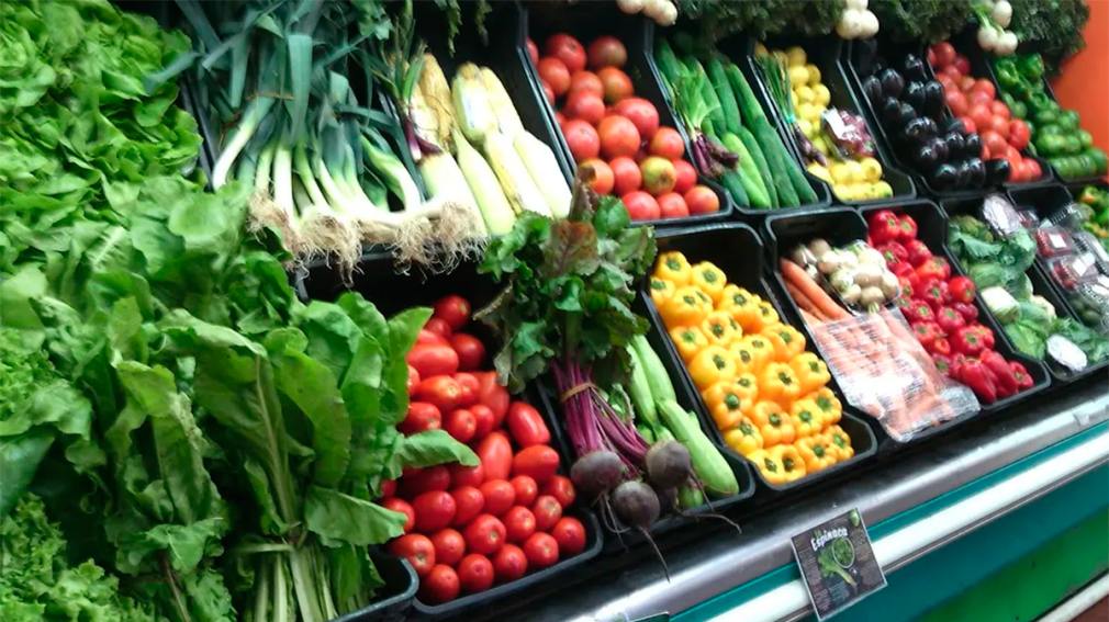 Alimentos da Estação: O Guia para Comprar Orgânicos Mais Baratos e Frescos