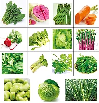 Orgânicos vs. Convencionais: Mitos e Verdades sobre Nutrição e Preço