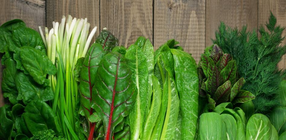 Como Encontrar Feiras Orgânicas Perto de Você e Economizar