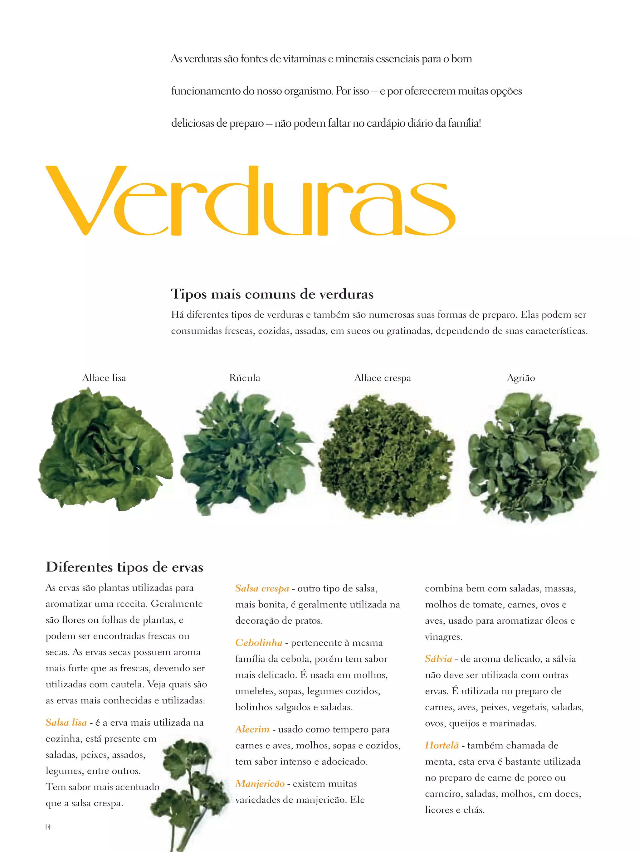 melhores vegetais para iniciantes na cozinha