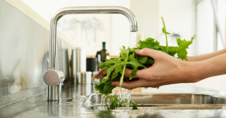 verduras para iniciantes na cozinha