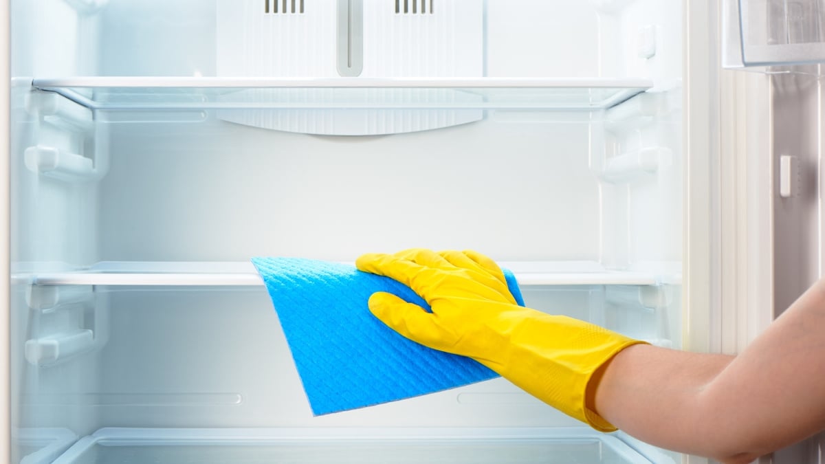 vinagre ou bicarbonato para mofo borracha geladeira