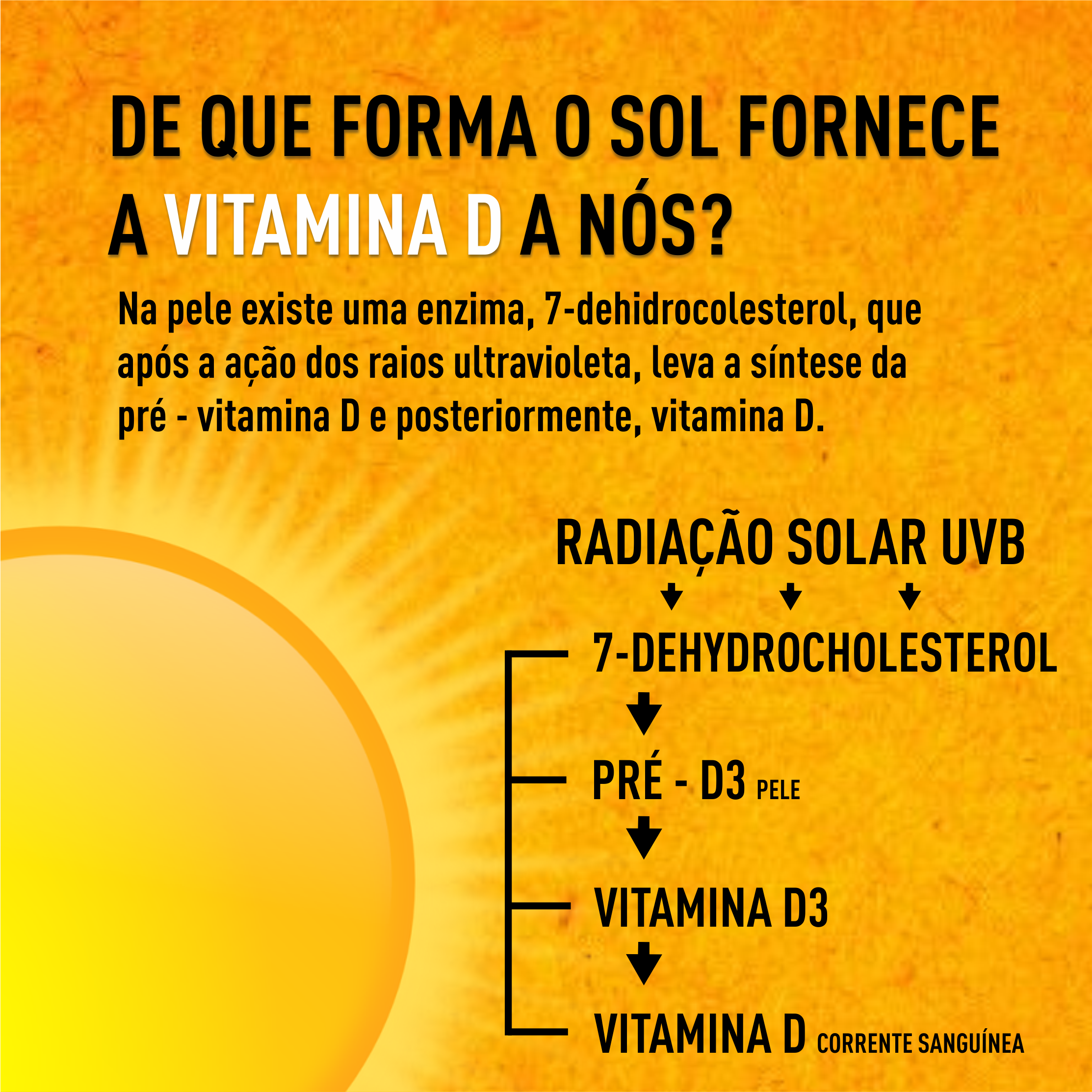 Guia Completo: O Tempo Ideal de Sol para Cada Tipo de Pele no Brasil