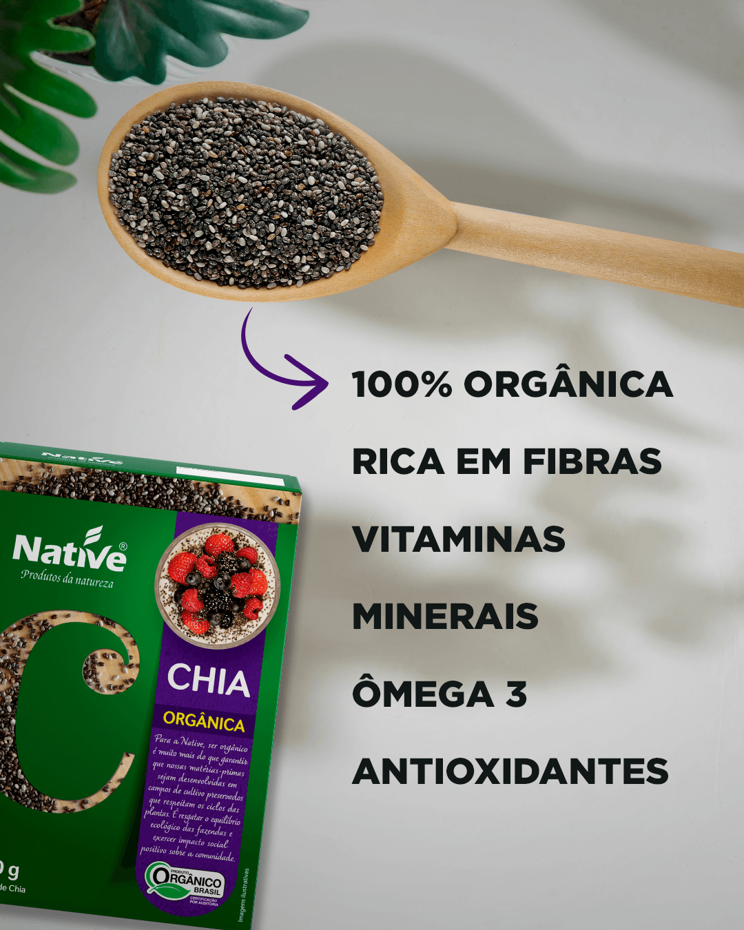 Como a Chia Ajuda na Digestão e Controle do Colesterol