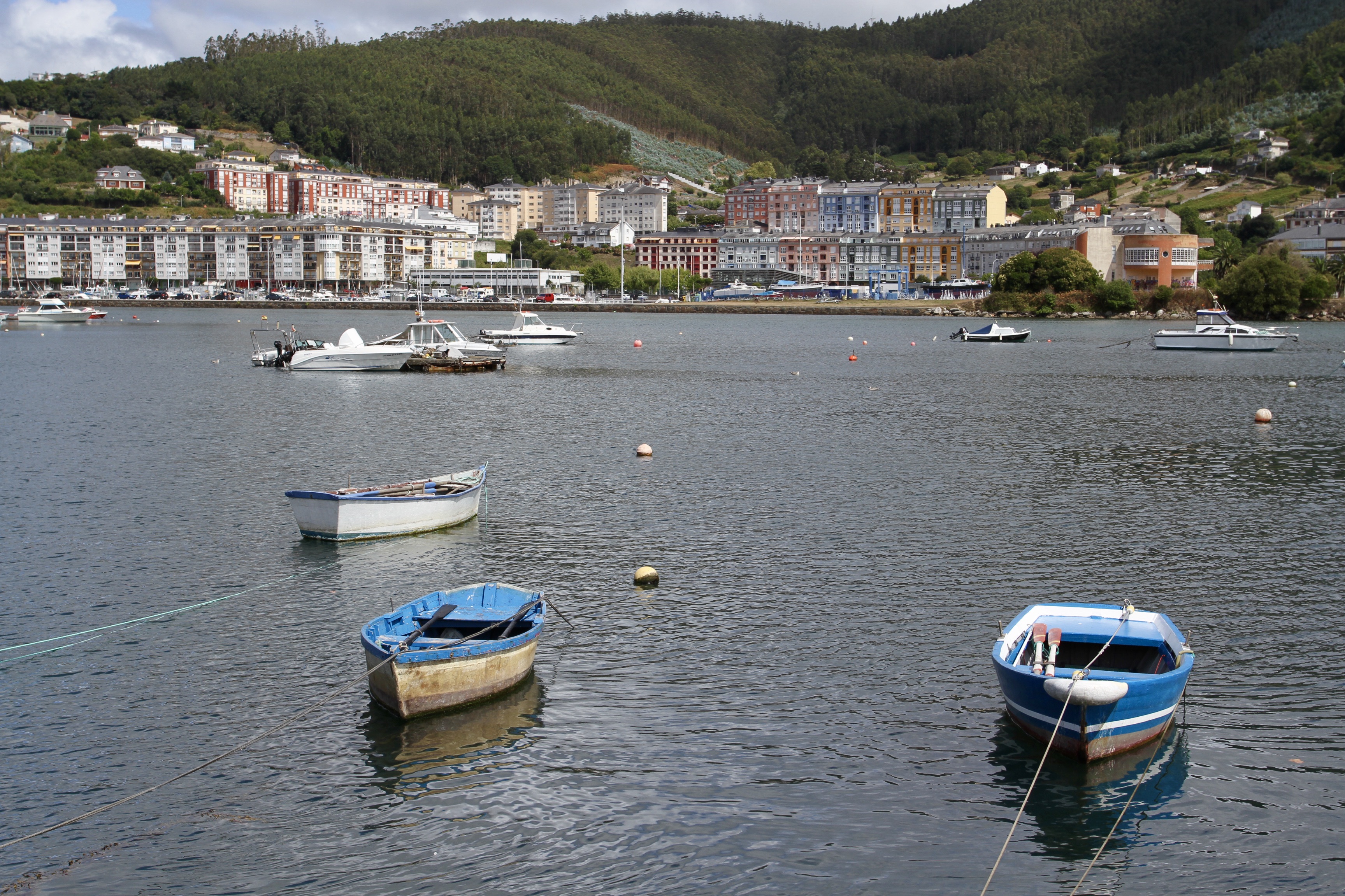 Viveiro Permanente vs. Provisório: Qual a Melhor Opção para o Seu Negócio?