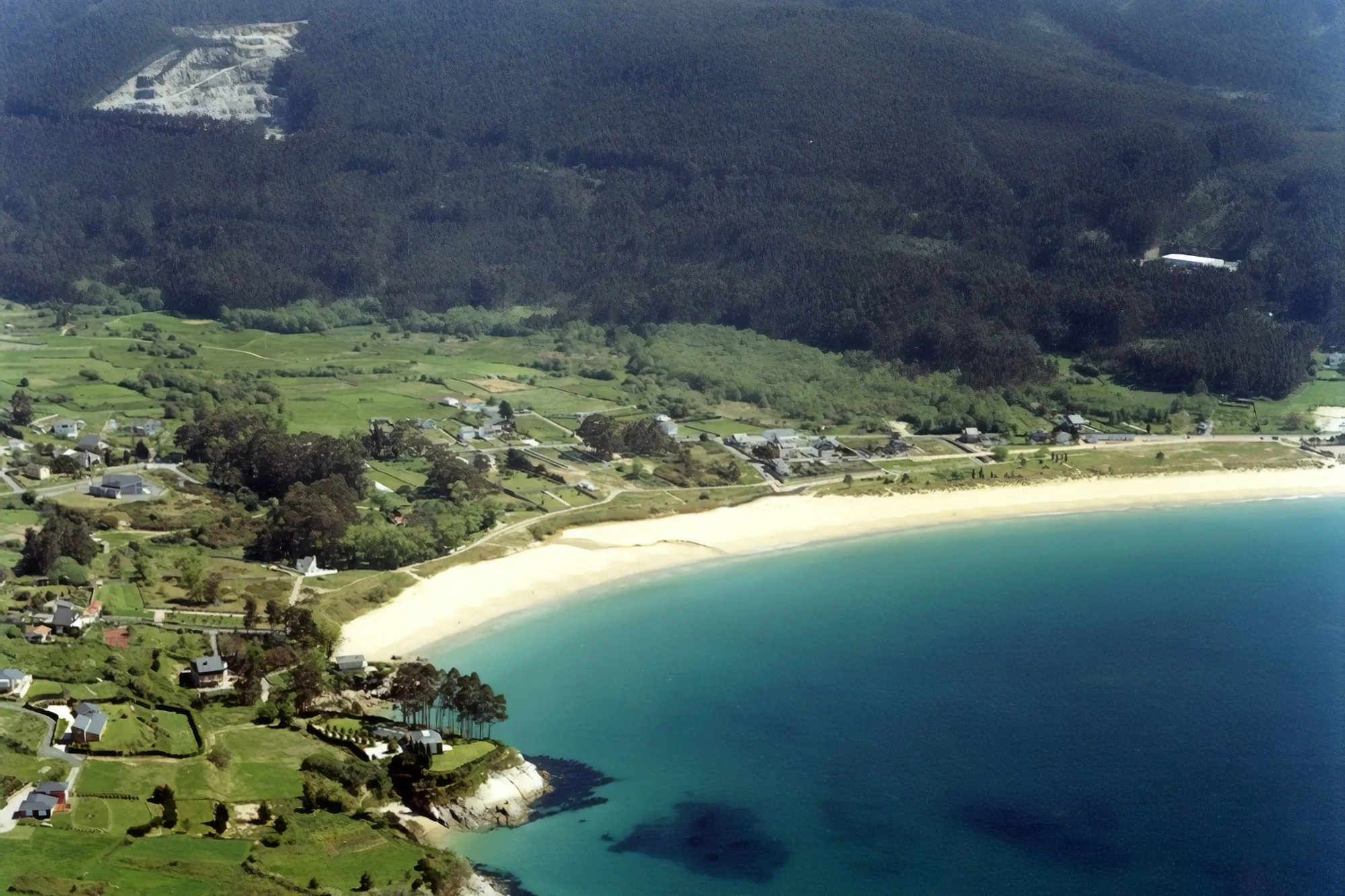 Guia Completo: Como Montar um Viveiro de Mudas Frutíferas