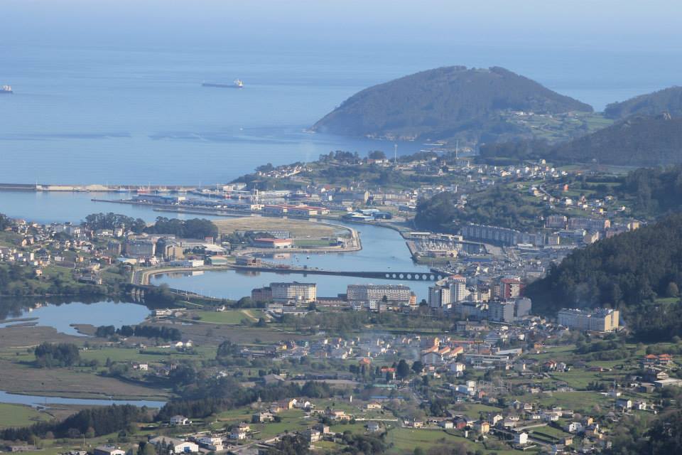 Viveiros de Animais: Tipos e Cuidados Essenciais para Criação em Cativeiro